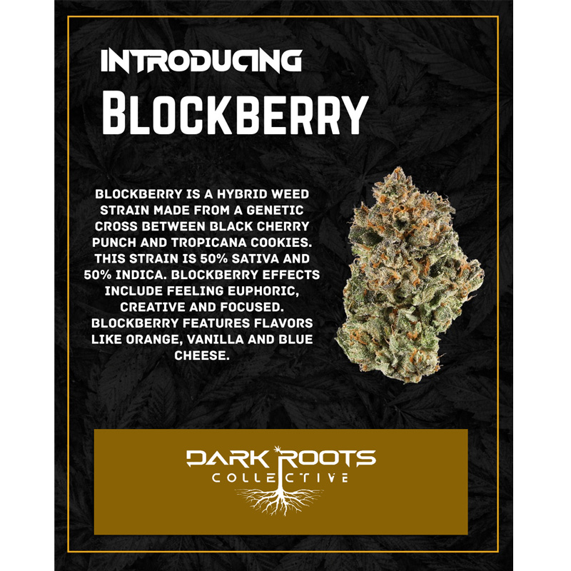 Blockberry 2.jpg