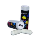 The Journey Magic Mushroom Caps 2's - Mexican