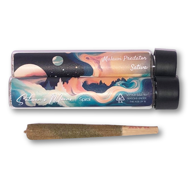 Moonstick Saturn’s Moons - Spiral